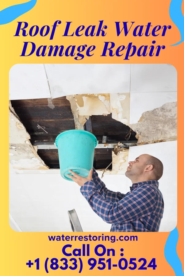 Roof Leak Water Damage Repair in Eau Claire, WI